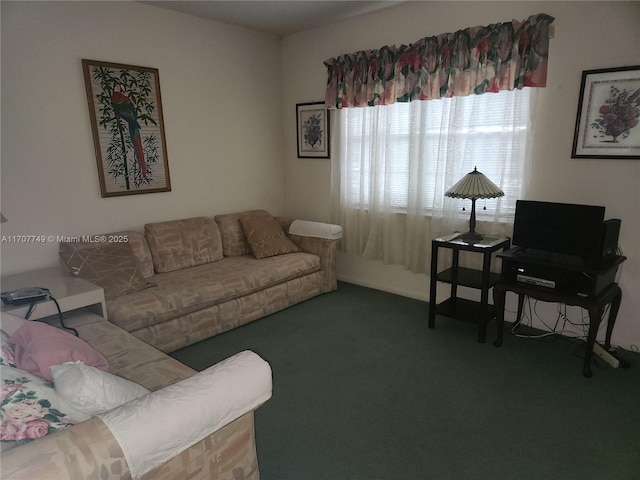 living room featuring dark colored carpet