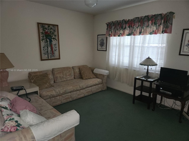 living room featuring dark colored carpet