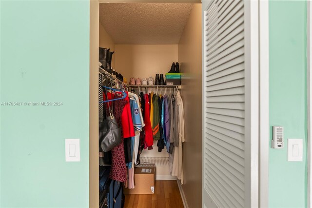 spacious closet with hardwood / wood-style flooring