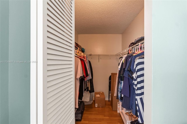 spacious closet featuring light hardwood / wood-style flooring