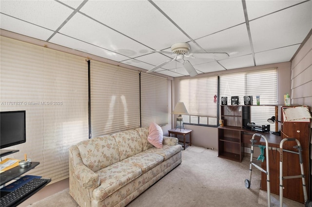 interior space featuring ceiling fan, carpet flooring, and a drop ceiling