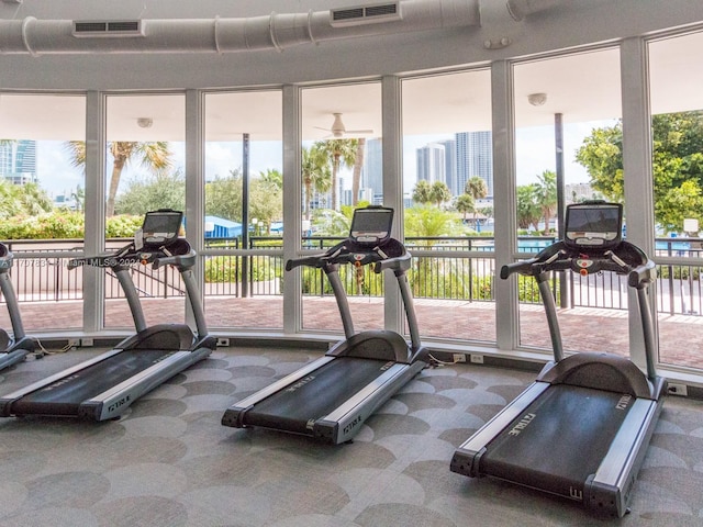 exercise room featuring plenty of natural light