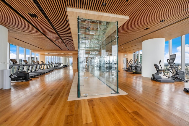 gym with a wealth of natural light, hardwood / wood-style floors, and a high ceiling