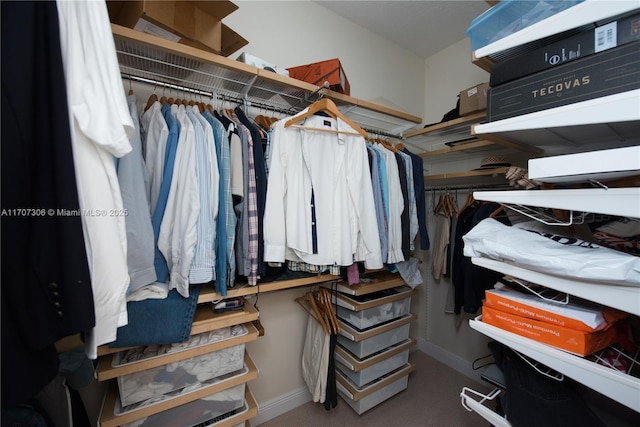 view of spacious closet