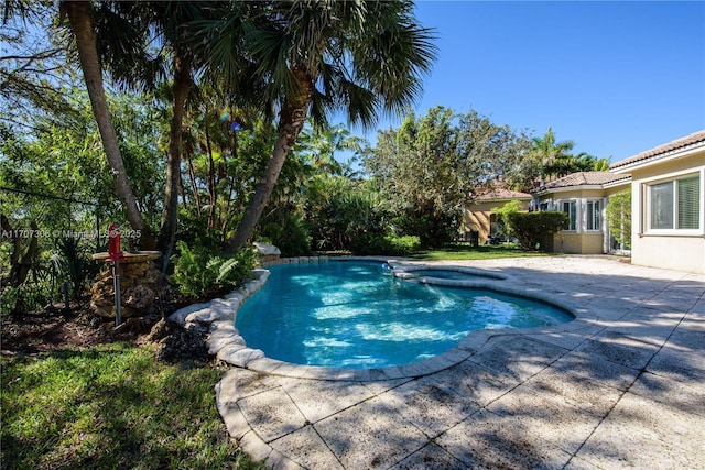 view of swimming pool with a patio