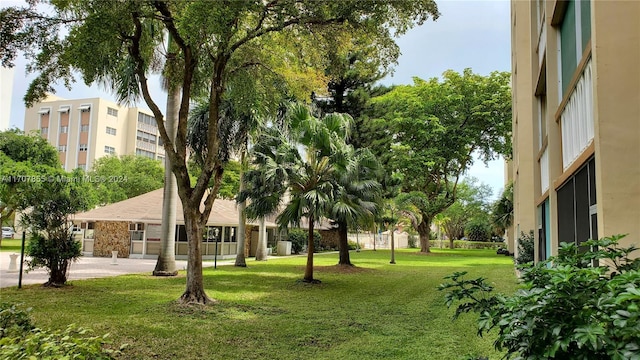 view of community with a lawn