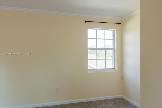 unfurnished room featuring crown molding and carpet