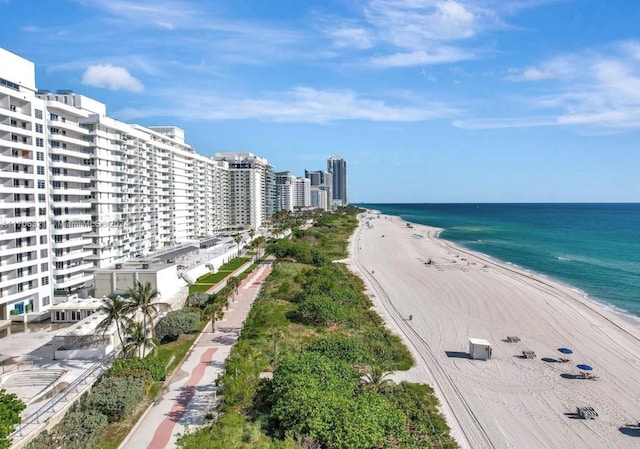 water view with a view of the beach