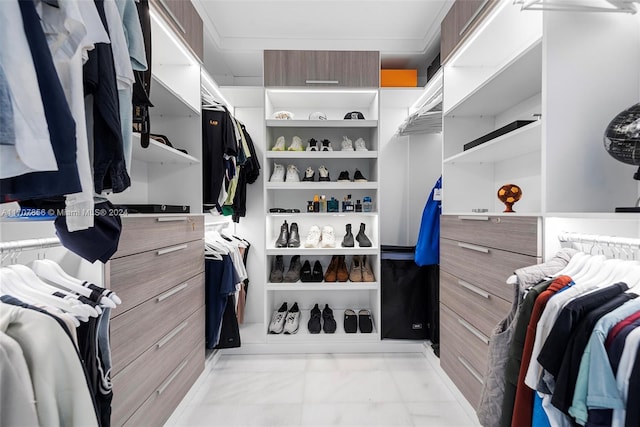 view of walk in closet