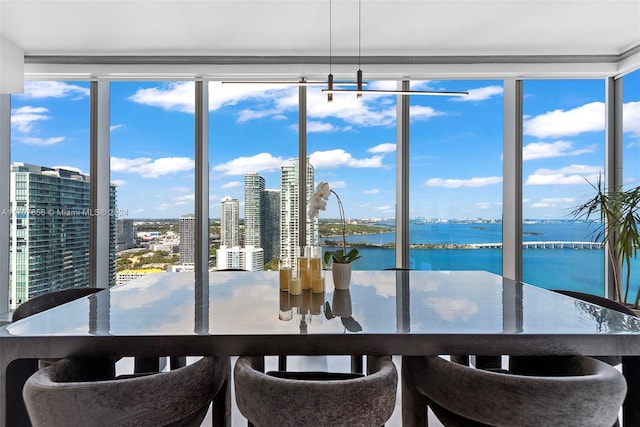 dining area with a water view, floor to ceiling windows, and a healthy amount of sunlight