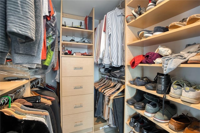 view of spacious closet