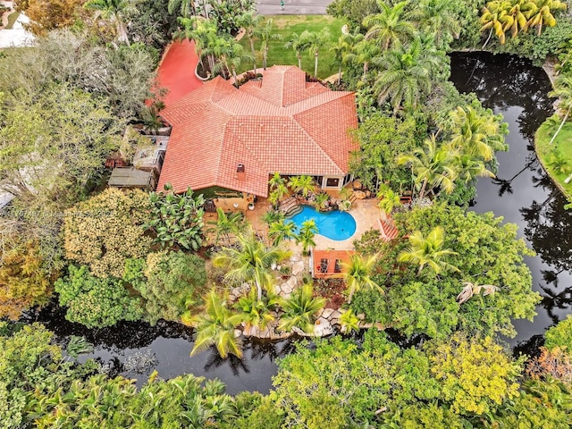 aerial view with a water view