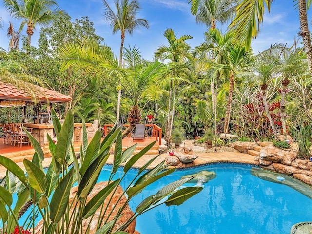 view of pool featuring an outdoor bar and a deck