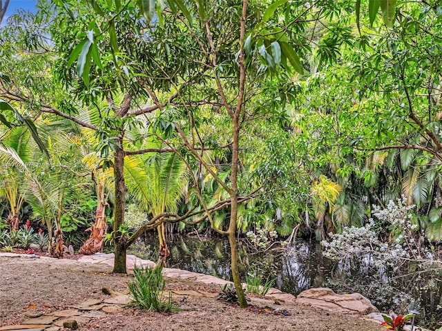 view of landscape with a water view