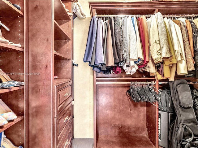 view of spacious closet