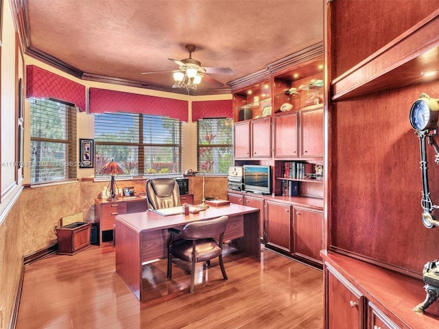 office area with ceiling fan, crown molding, and light hardwood / wood-style floors