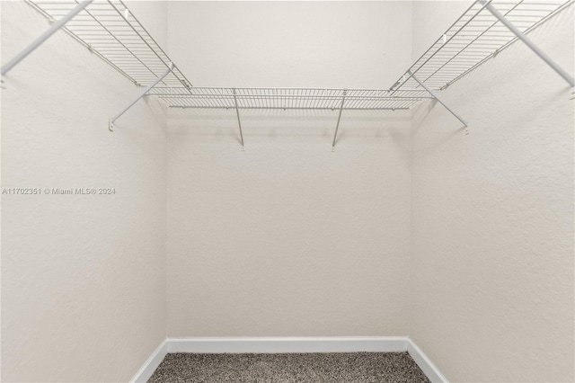 walk in closet with carpet flooring