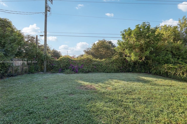 view of yard