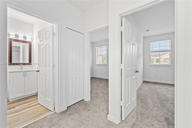 hallway with plenty of natural light and light colored carpet