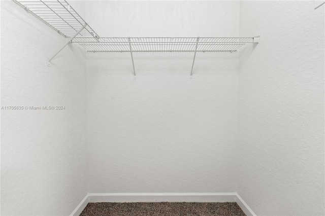 walk in closet with carpet floors