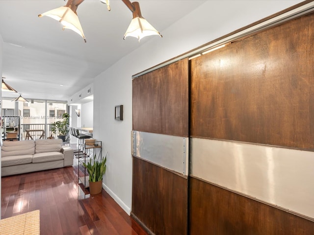 corridor with expansive windows and dark hardwood / wood-style flooring