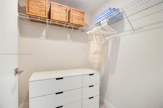 view of spacious closet