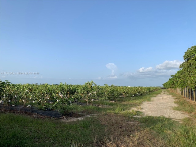 Listing photo 3 for 34200 SW 221st Ave, Homestead FL 33034