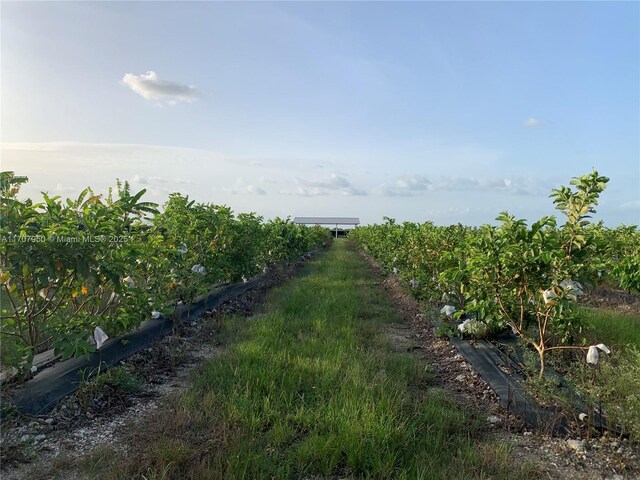 34200 SW 221st Ave, Homestead, FL 33034 - photo 4