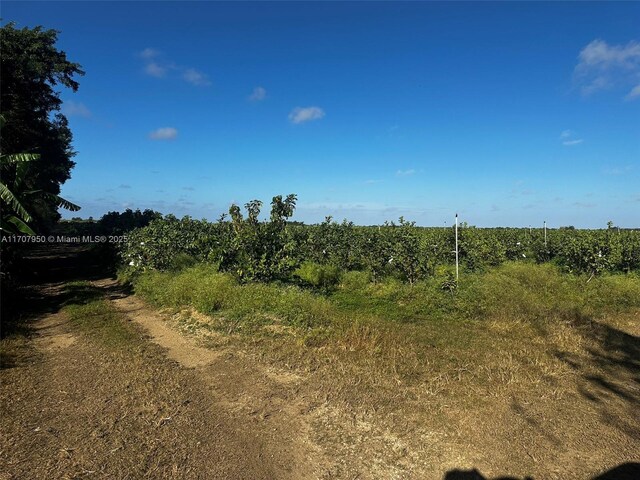 34200 SW 221st Ave, Homestead, FL 33034 - photo 6