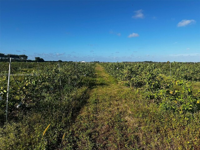 34200 SW 221st Ave, Homestead, FL 33034 - photo 7