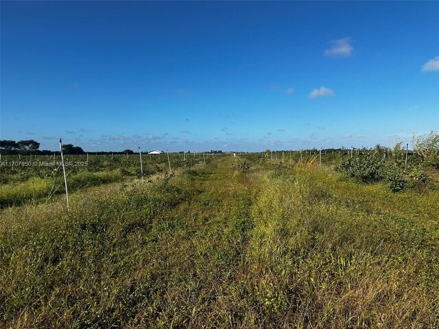 34200 SW 221st Ave, Homestead, FL 33034 - photo 8