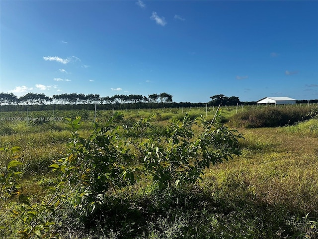 34200 SW 221st Ave, Homestead, FL 33034 - photo 10