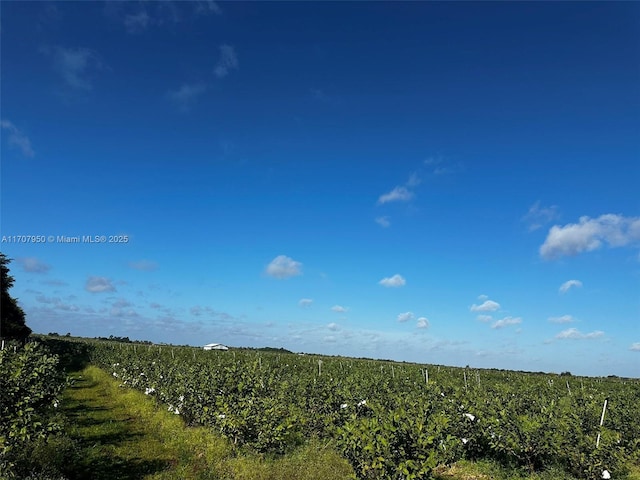 34200 SW 221st Ave, Homestead, FL 33034 - photo 21