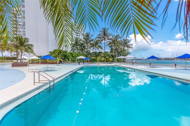 view of swimming pool featuring a patio