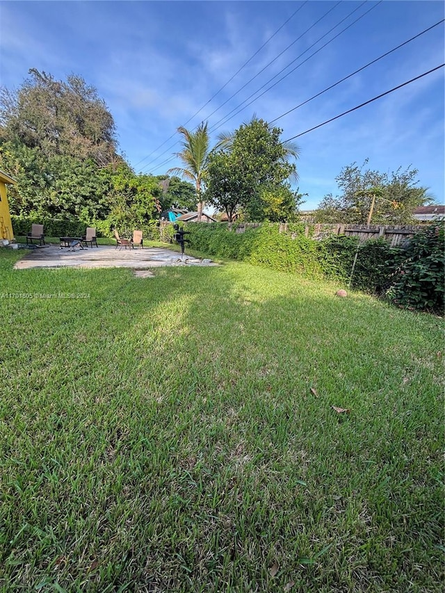 view of yard featuring a patio area