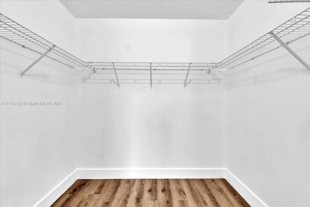 spacious closet with hardwood / wood-style flooring