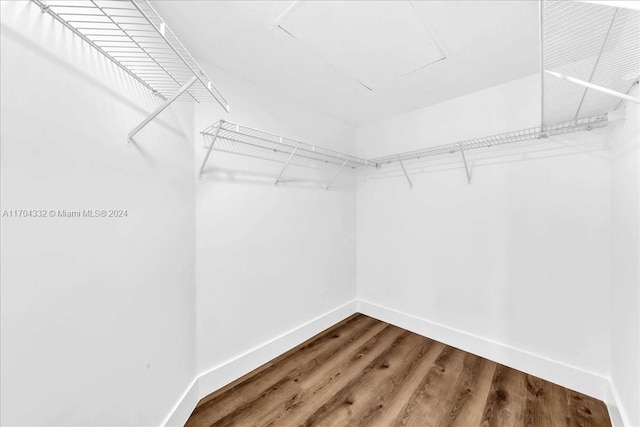 walk in closet featuring wood-type flooring