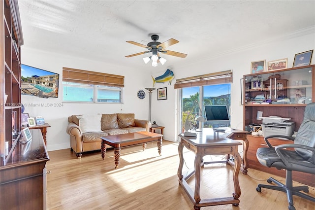 office with ceiling fan, crown molding, a textured ceiling, and light wood-type flooring