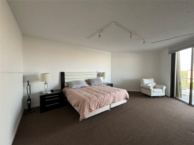 bedroom featuring carpet flooring, rail lighting, and access to exterior