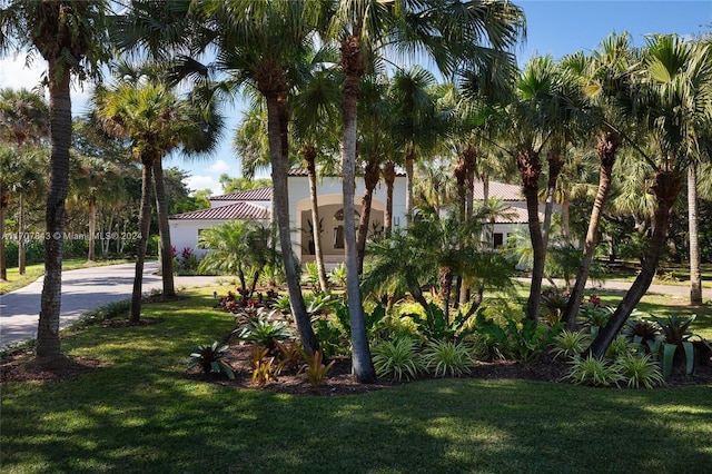 view of front of house featuring a front yard