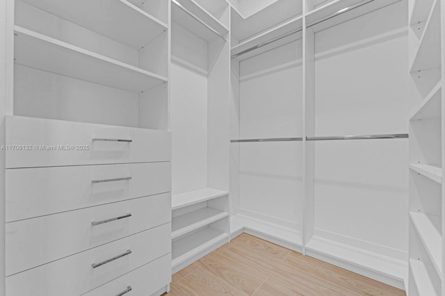 6401 SW 84th St, South Miami, FL 33143 - walk in closet featuring light wood-style floors