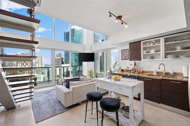 interior space featuring a textured ceiling, plenty of natural light, and sink