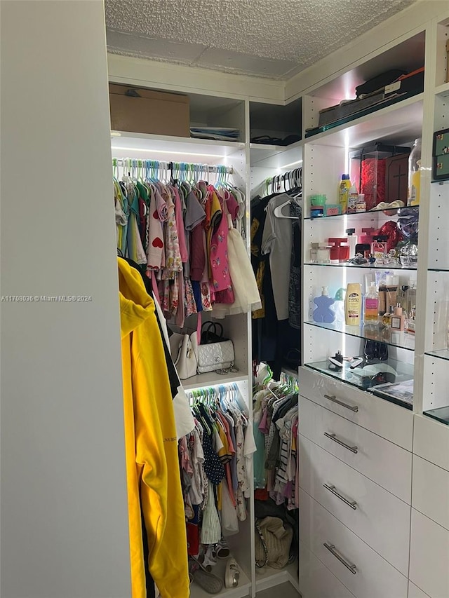 view of walk in closet