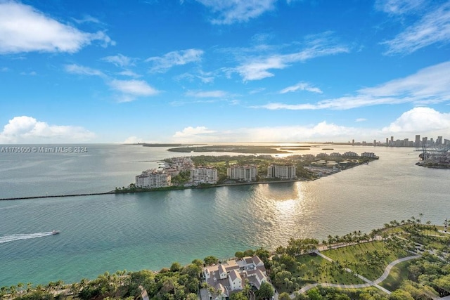 100 S Pointe Dr Unit 3601, Miami Beach, FL 33139 - water view with skyline