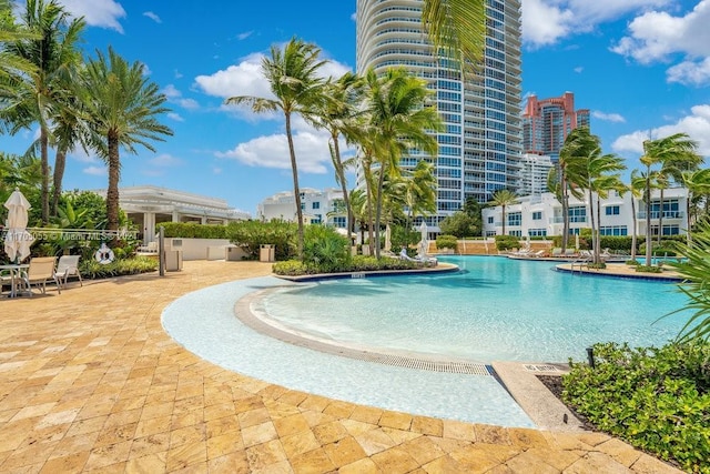 view of pool featuring a patio