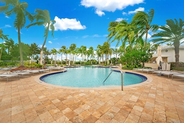 view of swimming pool with a patio