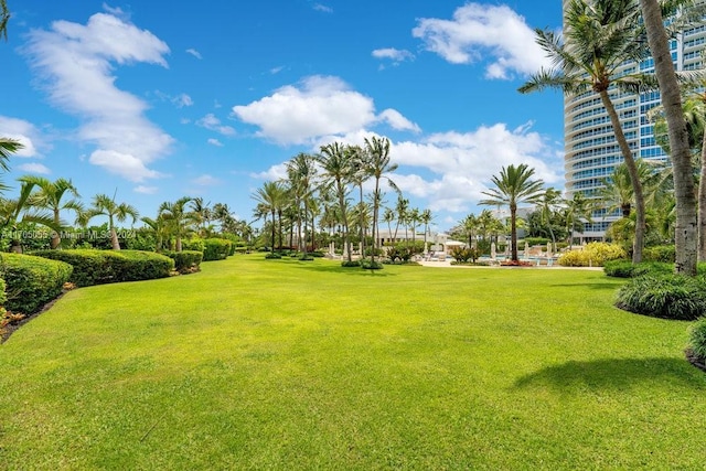 100 S Pointe Dr Unit 3601, Miami Beach, FL 33139 - view of grassy yard