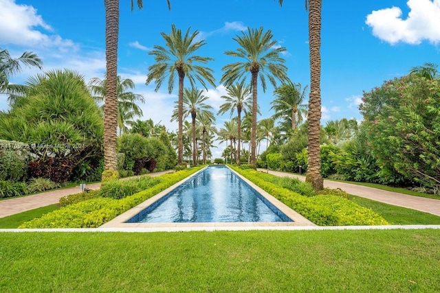 view of swimming pool with a lawn