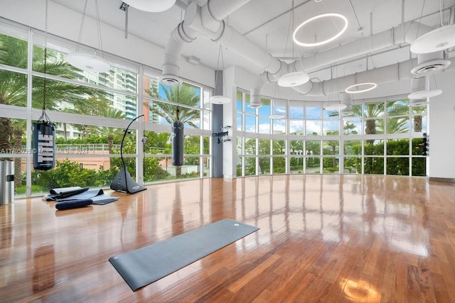 exercise area featuring floor to ceiling windows, wood-type flooring, and a high ceiling