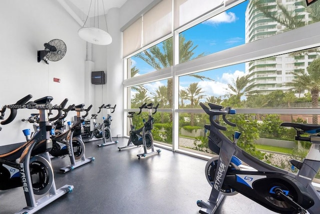 exercise room with a healthy amount of sunlight and a towering ceiling